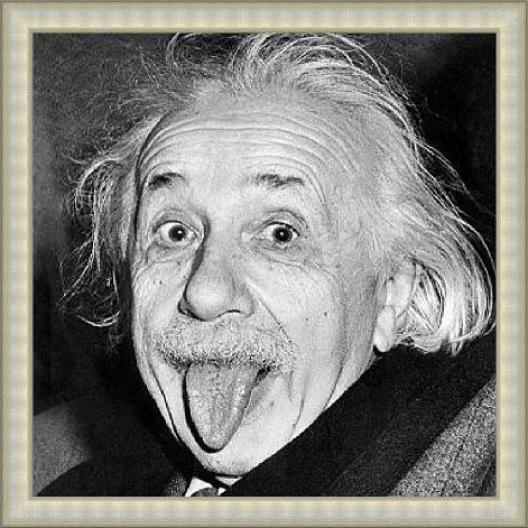 Albert Einstein Grey B/W