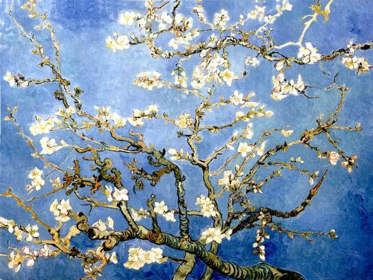 Almond Blossom L