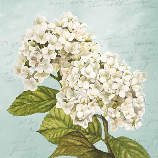 Hydrangeas III (Aqua)