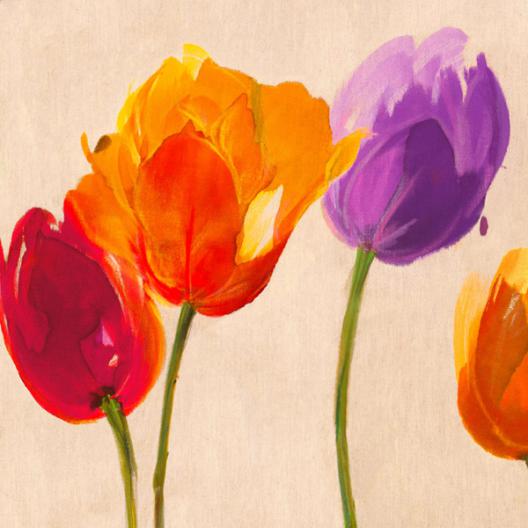 Tulips   Colors (detail)