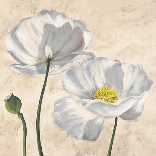 Poppies in White I