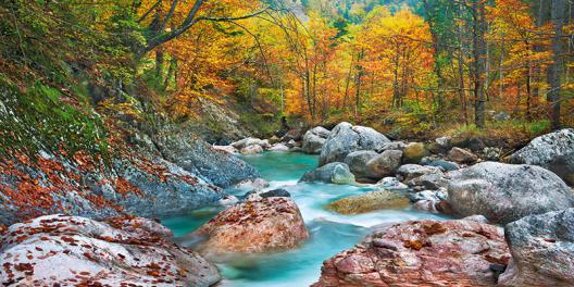 Mountain brook and rocks, Carinthia, Austria