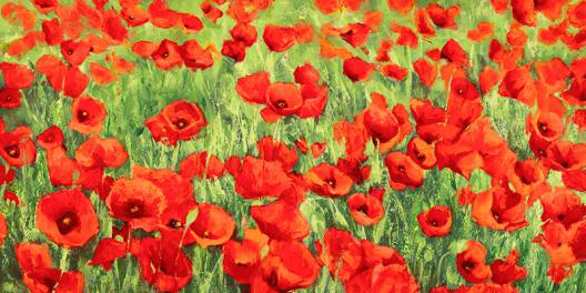 Poppy Field