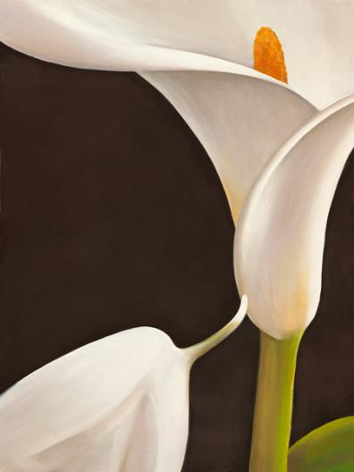 Calla moderna I