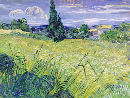 Landscape with Green Corn