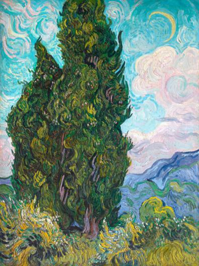 Cypresses