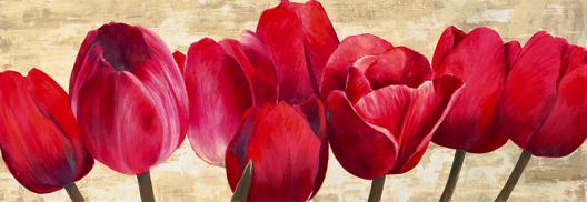 Red Tulips