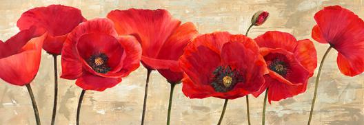 Red Poppies