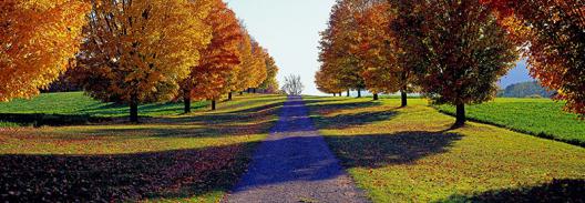 Autumn Road, Storm King Mountain, New York