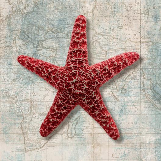 Starfish