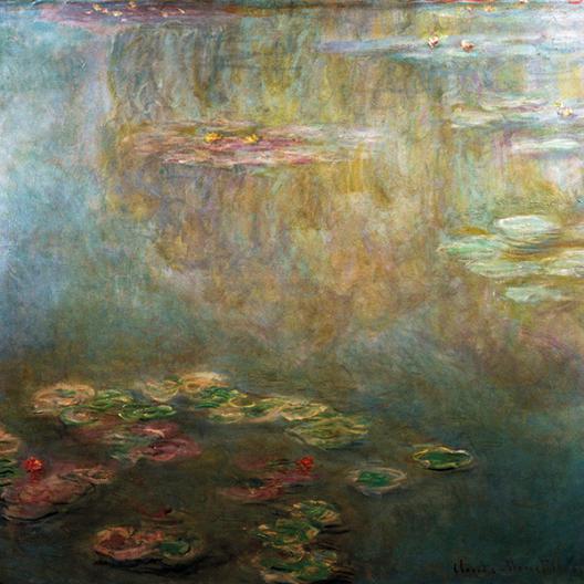 Water Lilies