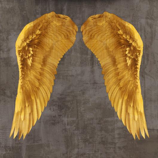 Angel Wings I