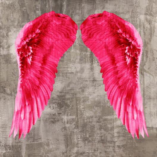 Angel Wings VI