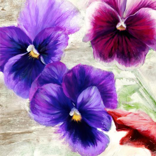 Pansies II