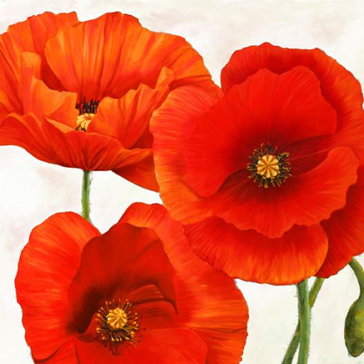 Poppies I