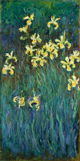 Les iris jaunes