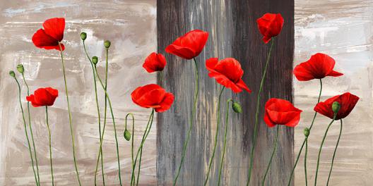 Country Poppies