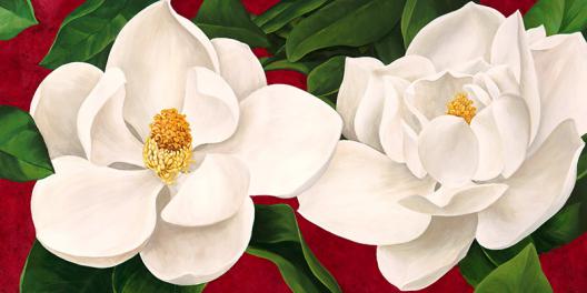 Magnolie in fiore