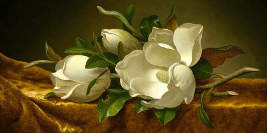 Magnolias on Gold Velvet Cloth