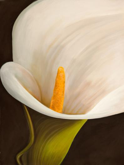 Calla moderna II