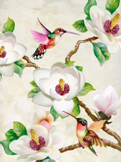 Magnolia and Humming Birds