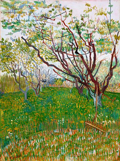 The Flowering Orchard