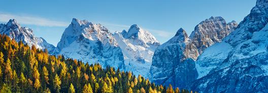 Larch forest and Cima bel Pra, Italy