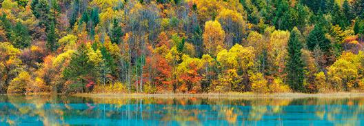 Lake and forest in autumn, China