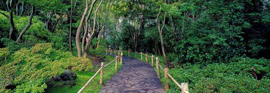 Tea Garden Walkway, San Francisco Botanical Gardens