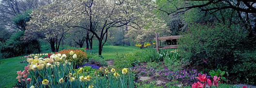 Country garden, Old Westbury Gardens, Long Island