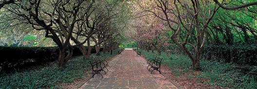 Through Conservatory Garden, Central Park, NYC