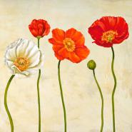 Coquelicots (detail)