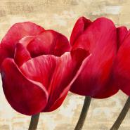 Red Tulips (detail)