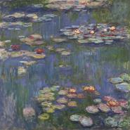 Water Lilies