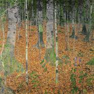 The Birch Wood