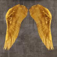 Angel Wings I