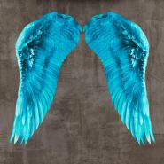 Angel Wings V