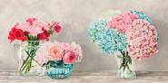 Fleurs et Vases Blanc