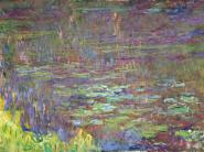 Detail of Waterlilies at Sunset