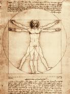 Vitruvian Man