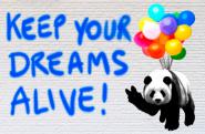 Keep your dreams alive!