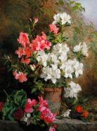 Still Life of Azaleas