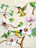 Magnolia and Birds