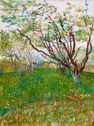 The Flowering Orchard