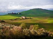 Tuscan Countryside