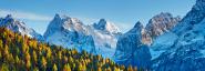 Larch forest and Cima bel Pra, Italy