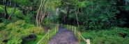 Tea Garden Walkway, San Francisco Botanical Gardens