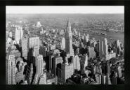 New York Black & White