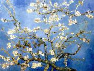 Almond Blossom L